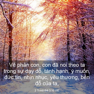 Picture 03 - 2 Ti-mô-thê 3:10 VIE - Về phần con, con đã noi theo ta trong sự - Bible Verse Picture