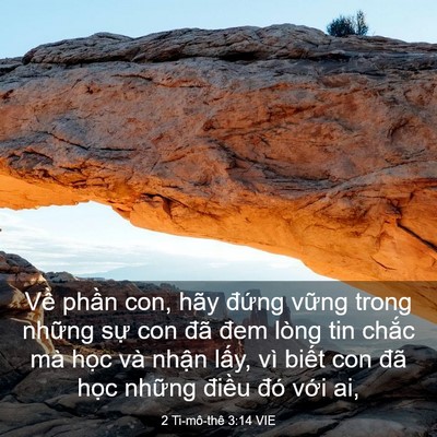 Picture 03 - 2 Ti-mô-thê 3:14 VIE - Về phần con, hãy đứng vững trong - Bible Verse Picture