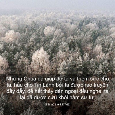 Picture 03 - 2 Ti-mô-thê 4:17 VIE - Nhưng Chúa đã giúp đỡ ta và thêm sức - Bible Verse Picture