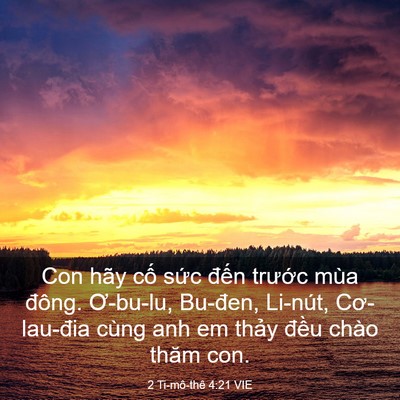 Picture 03 - 2 Ti-mô-thê 4:21 VIE - Con hãy cố sức đến trước mùa đông. - Bible Verse Picture