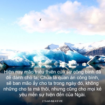 Picture 03 - 2 Ti-mô-thê 4:8 VIE - Hiện nay mão triều thiên của sự công - Bible Verse Picture