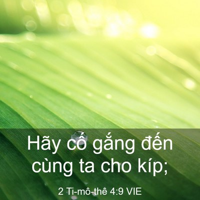Picture 03 - 2 Ti-mô-thê 4:9 VIE - Hãy cố gắng đến cùng ta cho - Bible Verse Picture
