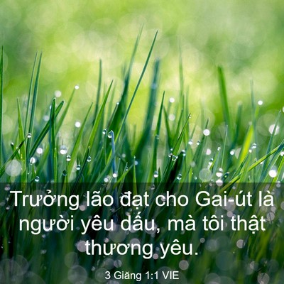 Picture 03 - 3 Giăng 1:1 VIE - Trưởng lão đạt cho Gai-út là người - Bible Verse Picture