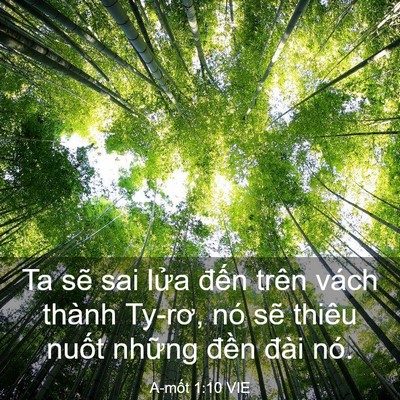 Picture 03 - A-mốt 1:10 VIE - Ta sẽ sai lửa đến trên vách thành - Bible Verse Picture