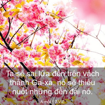 Picture 03 - A-mốt 1:7 VIE - Ta sẽ sai lửa đến trên vách thành - Bible Verse Picture