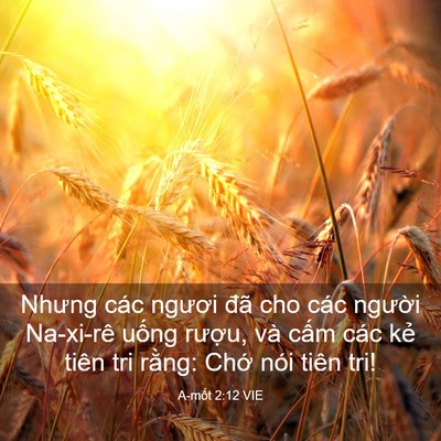 Picture 03 - A-mốt 2:12 VIE - Nhưng các ngươi đã cho các người - Bible Verse Picture
