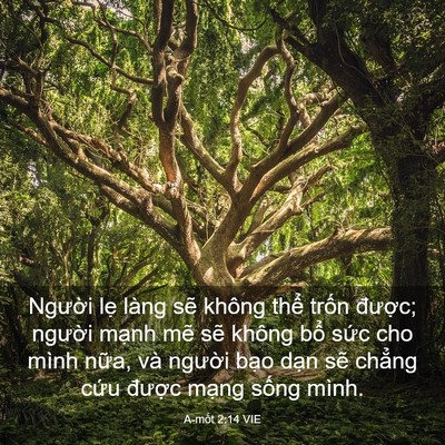 Picture 03 - A-mốt 2:14 VIE - Người lẹ làng sẽ không thể trốn - Bible Verse Picture