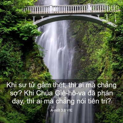 Picture 03 - A-mốt 3:8 VIE - Khi sư tử gầm thét, thì ai mà chẳng - Bible Verse Picture