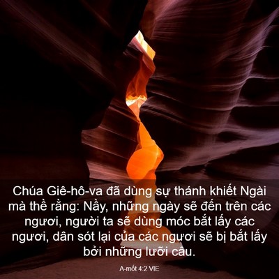 Picture 03 - A-mốt 4:2 VIE - Chúa Giê-hô-va đã dùng sự thánh khiết - Bible Verse Picture