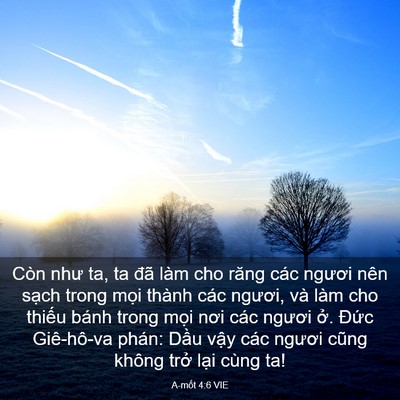 Picture 03 - A-mốt 4:6 VIE - Còn như ta, ta đã làm cho răng các ngươi - Bible Verse Picture