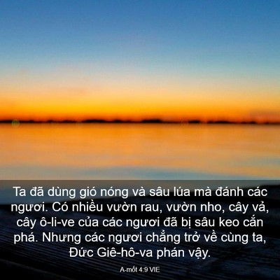 Picture 03 - A-mốt 4:9 VIE - Ta đã dùng gió nóng và sâu lúa mà đánh - Bible Verse Picture