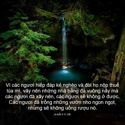 Picture 03 - A-mốt 5:11 VIE - Vì các ngươi hiếp đáp kẻ nghèo và - Bible Verse Picture