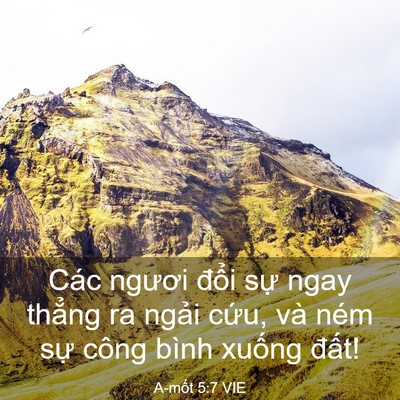 Picture 03 - A-mốt 5:7 VIE - Các ngươi đổi sự ngay thẳng ra ngải - Bible Verse Picture