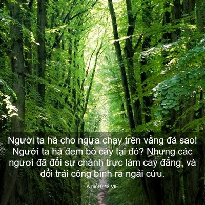 Picture 03 - A-mốt 6:12 VIE - Người ta há cho ngựa chạy trên vầng - Bible Verse Picture