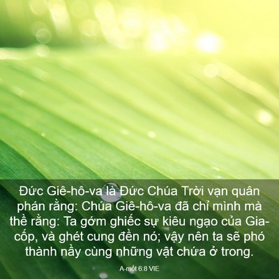 Picture 03 - A-mốt 6:8 VIE - Đức Giê-hô-va là Đức Chúa Trời vạn - Bible Verse Picture