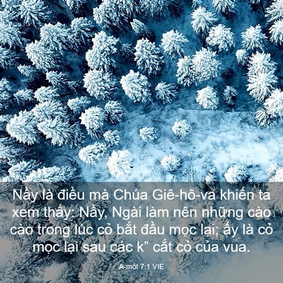 Picture 03 - A-mốt 7:1 VIE - Nầy là điều mà Chúa Giê-hô-va khiến - Bible Verse Picture