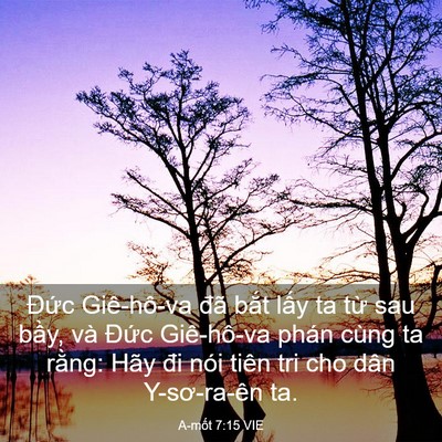 Picture 03 - A-mốt 7:15 VIE - Đức Giê-hô-va đã bắt lấy ta từ sau - Bible Verse Picture