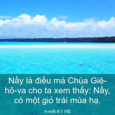 Picture 03 - A-mốt 8:1 VIE - Nầy là điều mà Chúa Giê-hô-va cho ta - Bible Verse Picture