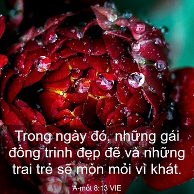 Picture 03 - A-mốt 8:13 VIE - Trong ngày đó, những gái đồng trinh - Bible Verse Picture