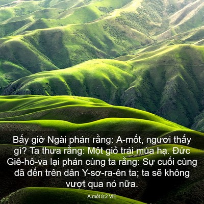 Picture 03 - A-mốt 8:2 VIE - Bấy giờ Ngài phán rằng: A-mốt, ngươi - Bible Verse Picture