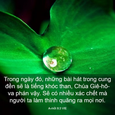 Picture 03 - A-mốt 8:3 VIE - Trong ngày đó, những bài hát trong cung - Bible Verse Picture
