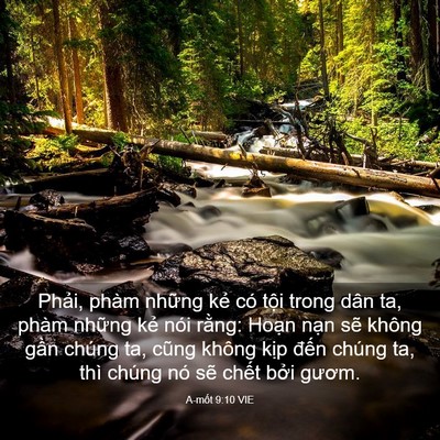 Picture 03 - A-mốt 9:10 VIE - Phải, phàm những kẻ có tội trong dân - Bible Verse Picture