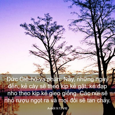 Picture 03 - A-mốt 9:13 VIE - Đức Giê-hô-va phán: Nầy, những ngày - Bible Verse Picture