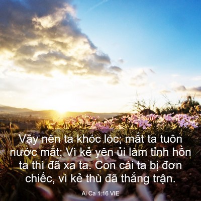 Picture 03 - Ai Ca 1:16 VIE - Vậy nên ta khóc lóc; mắt ta tuôn nước - Bible Verse Picture