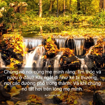 Picture 03 - Ai Ca 2:12 VIE - Chúng nó nói cùng mẹ mình rằng: tìm - Bible Verse Picture
