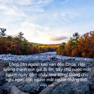 Picture 03 - Ai Ca 2:18 VIE - Lòng dân ngươi kêu van đến Chúa. Hỡi - Bible Verse Picture