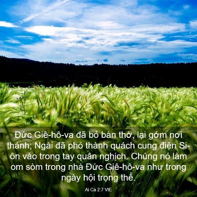 Picture 03 - Ai Ca 2:7 VIE - Đức Giê-hô-va đã bỏ bàn thờ, lại - Bible Verse Picture