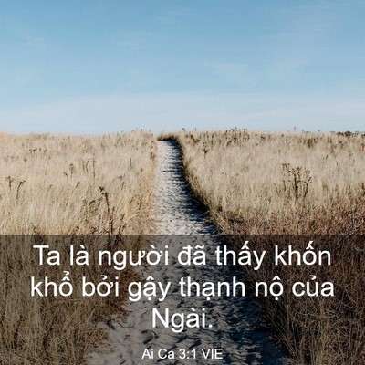 Picture 03 - Ai Ca 3:1 VIE - Ta là người đã thấy khốn khổ bởi - Bible Verse Picture