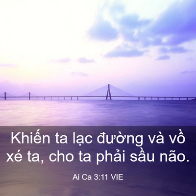 Picture 03 - Ai Ca 3:11 VIE - Khiến ta lạc đường và vồ xé ta, cho - Bible Verse Picture