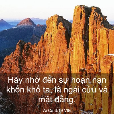 Picture 03 - Ai Ca 3:19 VIE - Hãy nhớ đến sự hoạn nạn khốn khổ - Bible Verse Picture