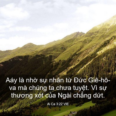 Picture 03 - Ai Ca 3:22 VIE - Aáy là nhờ sự nhân từ Đức Giê-hô-va - Bible Verse Picture