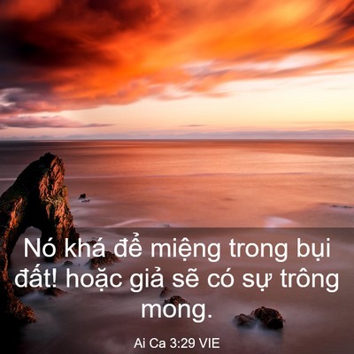 Picture 03 - Ai Ca 3:29 VIE - Nó khá để miệng trong bụi đất! hoặc - Bible Verse Picture