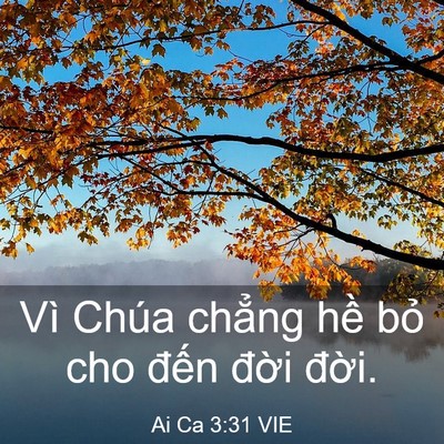 Picture 03 - Ai Ca 3:31 VIE - Vì Chúa chẳng hề bỏ cho đến đời - Bible Verse Picture