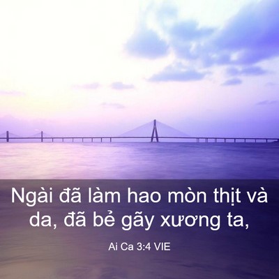 Picture 03 - Ai Ca 3:4 VIE - Ngài đã làm hao mòn thịt và da, đã bẻ - Bible Verse Picture
