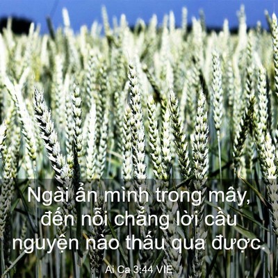 Picture 03 - Ai Ca 3:44 VIE - Ngài ẩn mình trong mây, đến nỗi chẳng - Bible Verse Picture