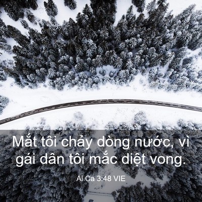 Picture 03 - Ai Ca 3:48 VIE - Mắt tôi chảy dòng nước, vì gái dân - Bible Verse Picture