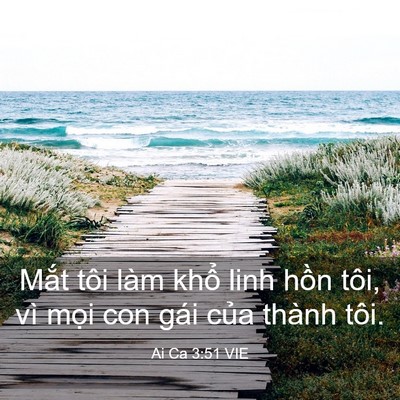 Picture 03 - Ai Ca 3:51 VIE - Mắt tôi làm khổ linh hồn tôi, vì mọi - Bible Verse Picture