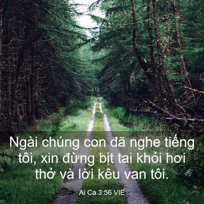 Picture 03 - Ai Ca 3:56 VIE - Ngài chúng con đã nghe tiếng tôi, xin - Bible Verse Picture
