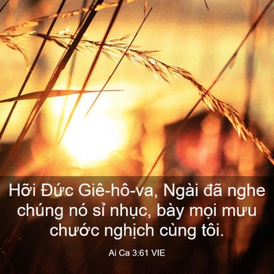 Picture 03 - Ai Ca 3:61 VIE - Hỡi Đức Giê-hô-va, Ngài đã nghe chúng - Bible Verse Picture