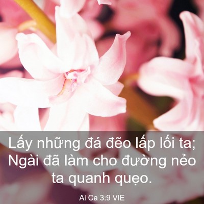 Picture 03 - Ai Ca 3:9 VIE - Lấy những đá đẽo lấp lối ta; Ngài - Bible Verse Picture