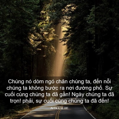 Picture 03 - Ai Ca 4:18 VIE - Chúng nó dòm ngó chân chúng ta, đến - Bible Verse Picture