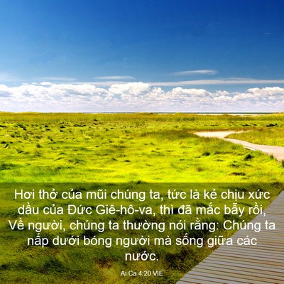 Picture 03 - Ai Ca 4:20 VIE - Hơi thở của mũi chúng ta, tức là kẻ - Bible Verse Picture