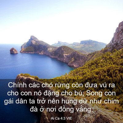 Picture 03 - Ai Ca 4:3 VIE - Chính các chó rừng còn đưa vú ra cho con - Bible Verse Picture