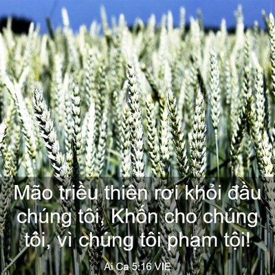 Picture 03 - Ai Ca 5:16 VIE - Mão triều thiên rơi khỏi đầu chúng - Bible Verse Picture