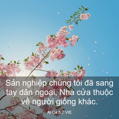 Picture 03 - Ai Ca 5:2 VIE - Sản nghiệp chúng tôi đã sang tay dân - Bible Verse Picture