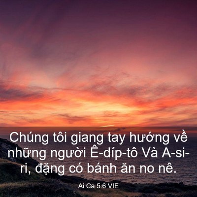 Picture 03 - Ai Ca 5:6 VIE - Chúng tôi giang tay hướng về những - Bible Verse Picture
